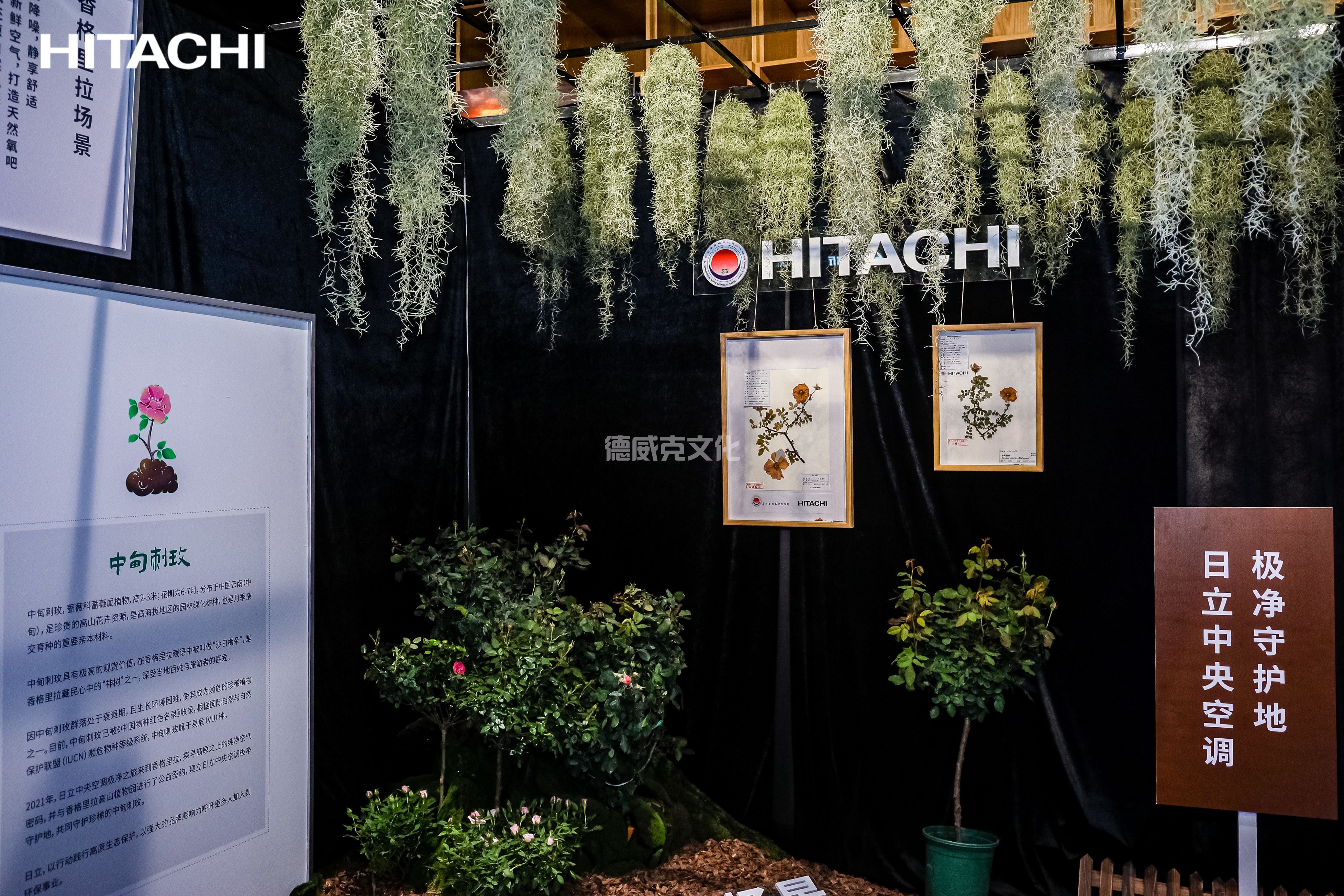 Hitachi Central Air Conditioner_en全球展览设计展台搭建公司